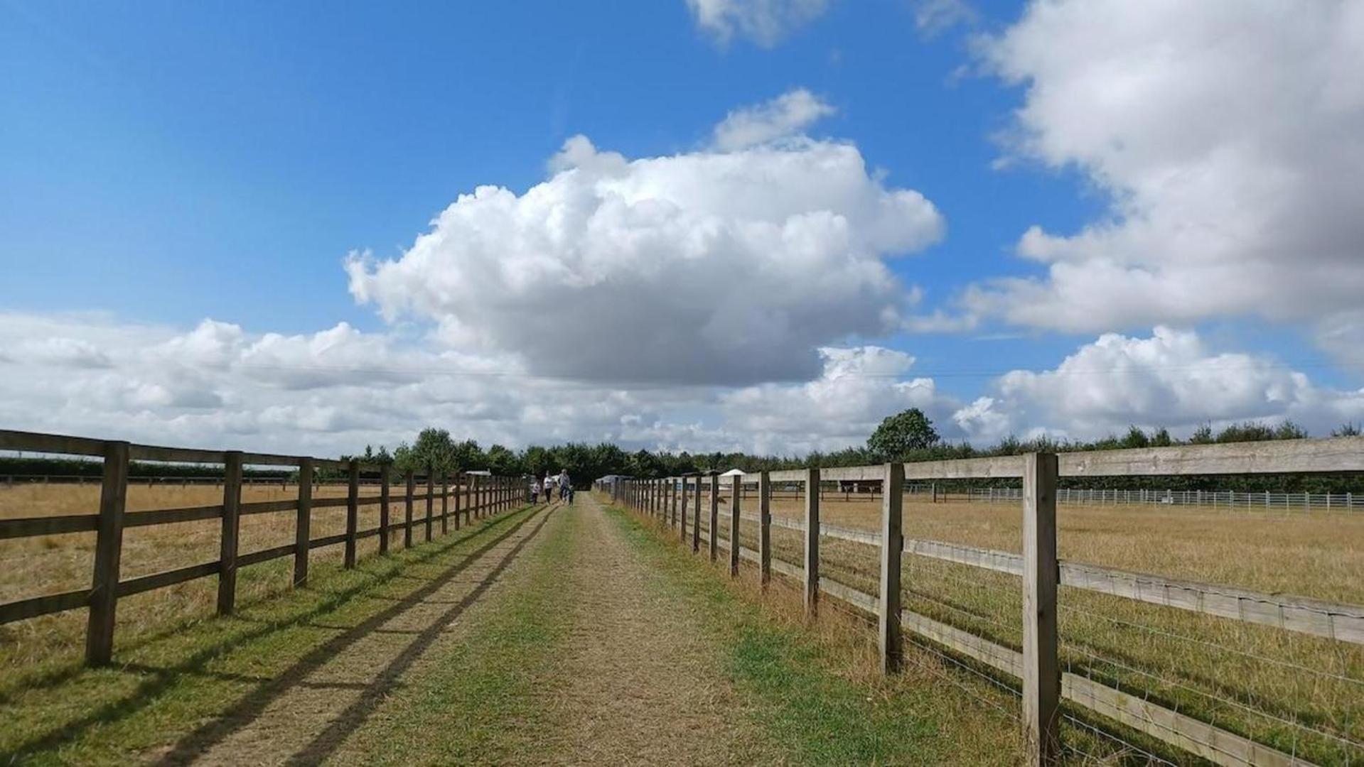 Little Lodge Glamping Halesworth Exterior photo